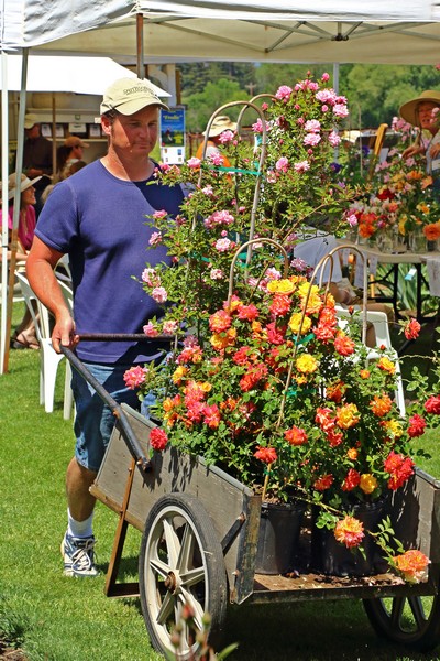 happy plant buyer